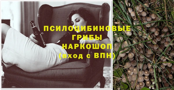 тгк Алексеевка