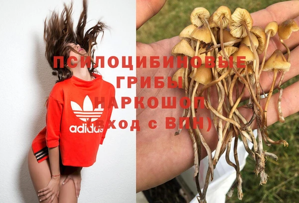 тгк Алексеевка