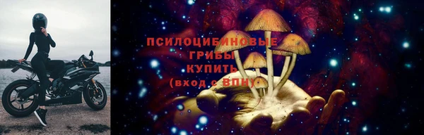 тгк Алексеевка