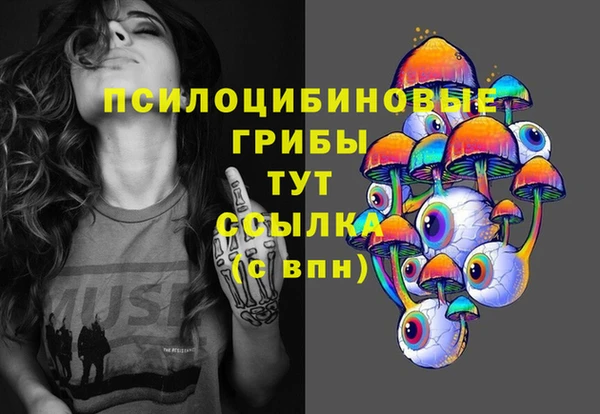 гидропоника Покачи