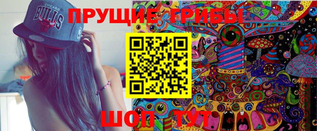 Галлюциногенные грибы Psilocybe Раменское