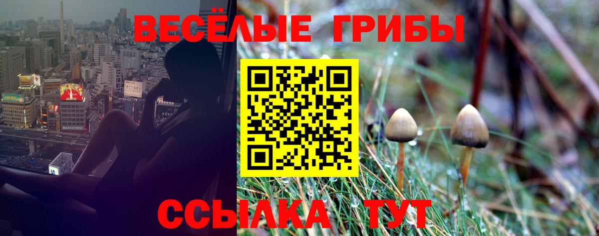 Псилоцибиновые грибы ЛСД  Вход с VPN  как найти закладки  Раменское 